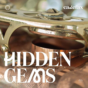 Recensie DIVERSEN – Hidden Gems