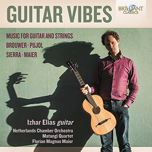 Recensie DIVERSEN – Guitar Vibes – Music for guitar and strings (werken van Brouwer, Pujol, Sierra, Maier)
