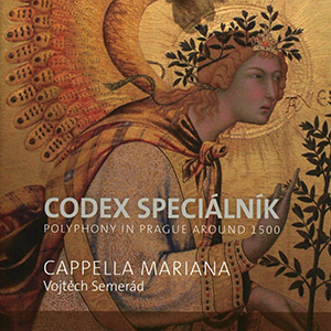Recensie DIVERSEN – Codex Spécialník