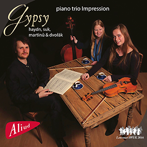 Recensie HAYDN, SUK, MARTIN, DVORÁK – Gypsy