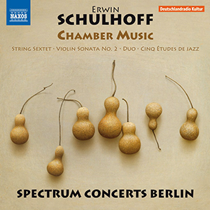 Recensie SCHUMANN – Celloconcert, Symfonie nr.2