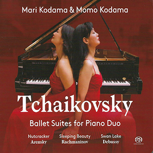 Recensie TSJAIKOVSKI, BORODIN – Symfonie nr.6; Polowetser dansen