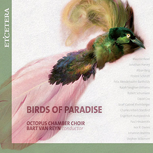 Recensie – Birds of Paradise: koorwerken uit diverse eeuwen