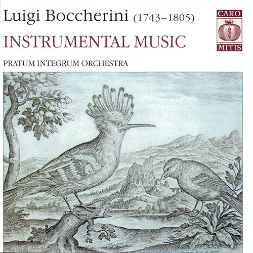 BOCCHERINI